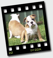 Zara & Zelda