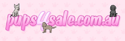 Pups 4 sale