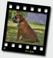 Matilda