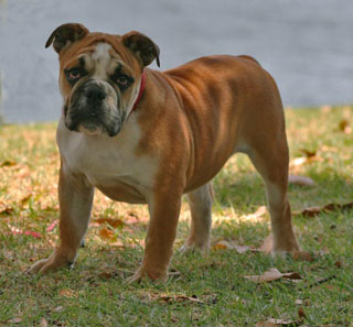 Matilda