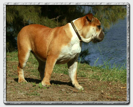 Matilda