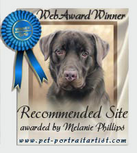 Website Award