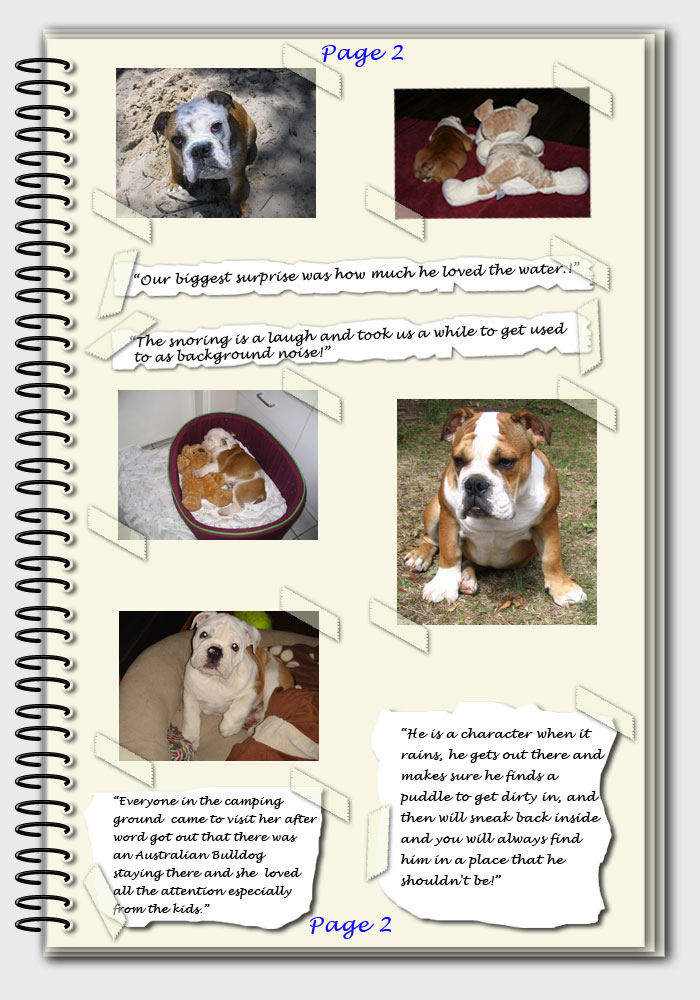 page 2