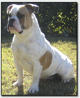 Zena